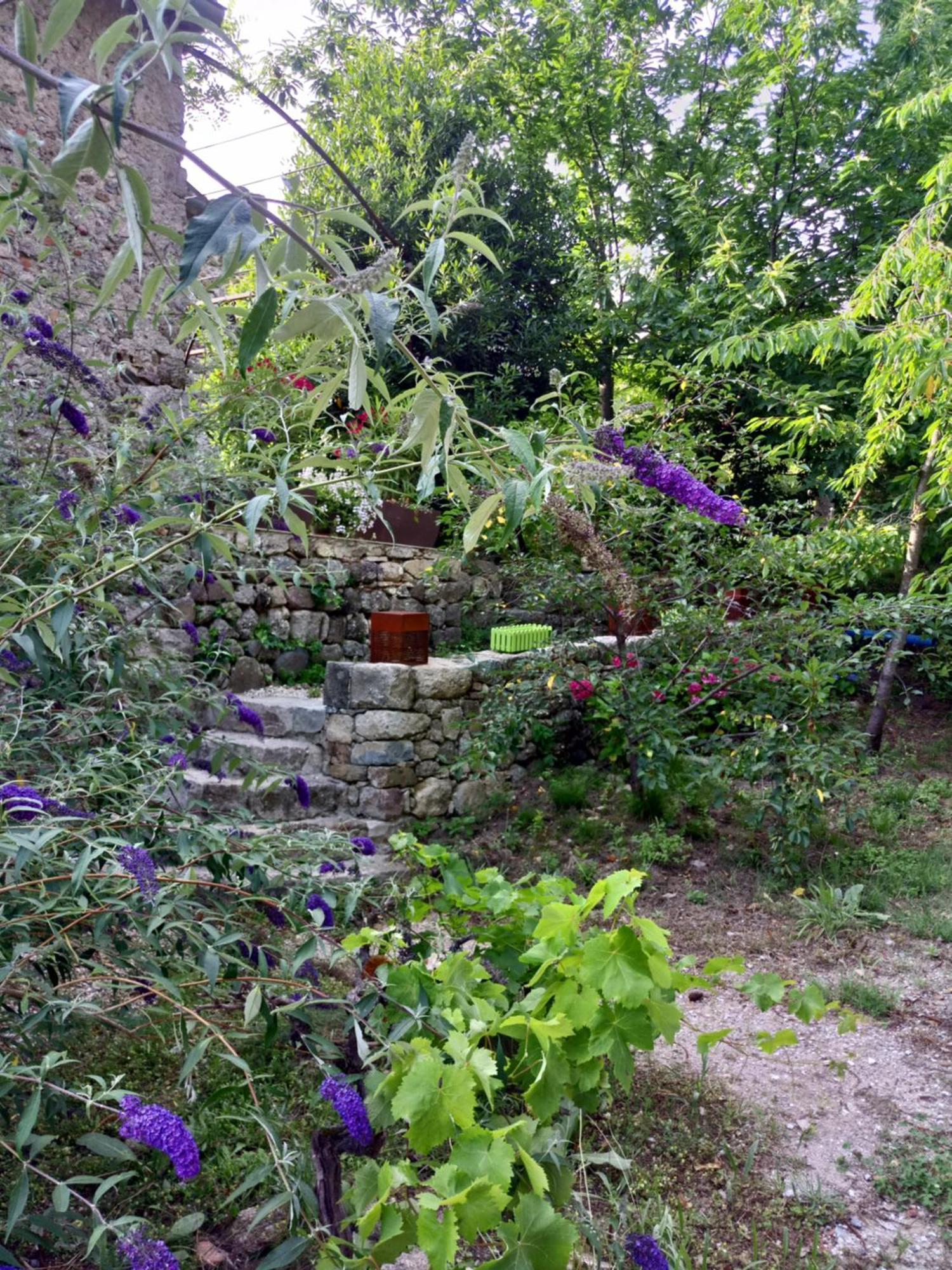 Les Chataigniers Gites Du Mas Haut Saint-Jean-du-Gard Zewnętrze zdjęcie